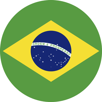 Flag Brazil Icon