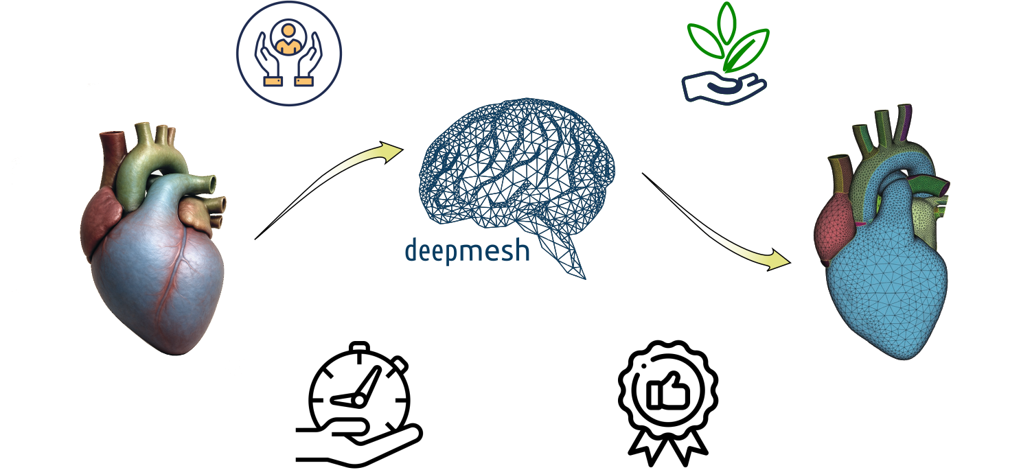 deepmesh workflow from anatomical geometry to AI-assisted meshed simulation model