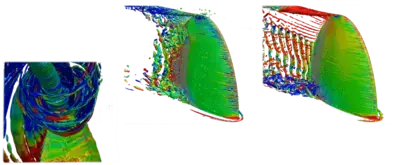 Picture Computational Fluid Dynamics