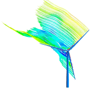 Wind picture